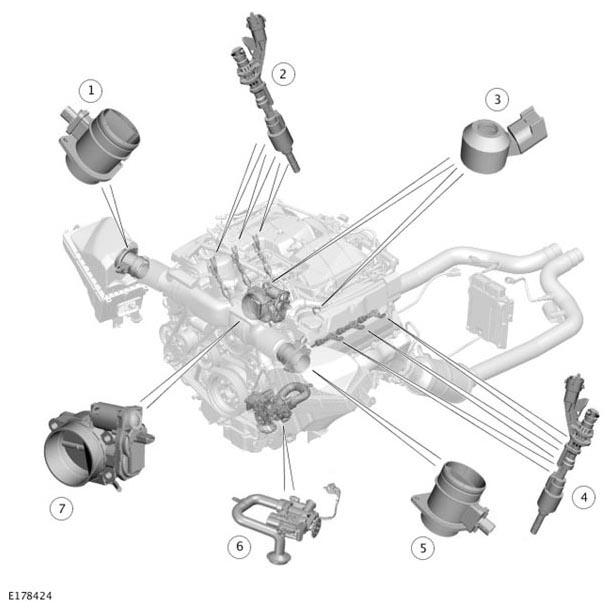 G11291454