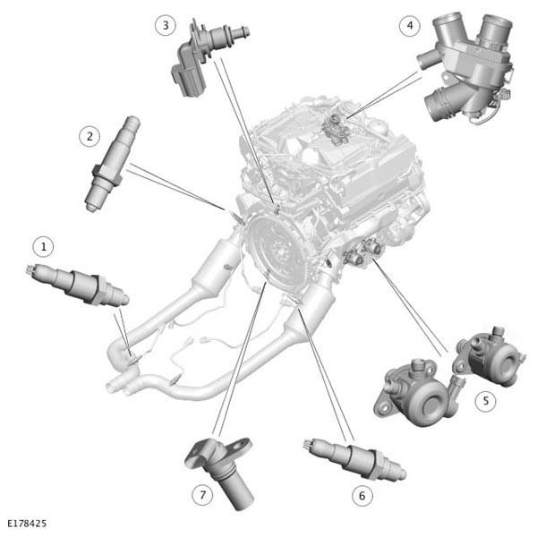 G11291455