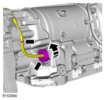 G11292231