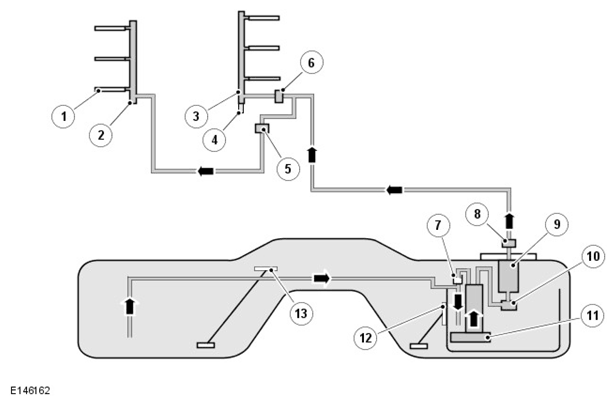 G11292691