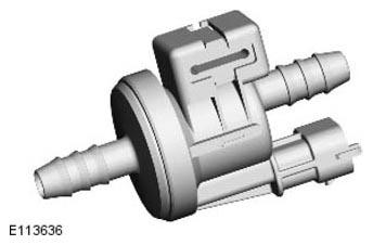 G11293232