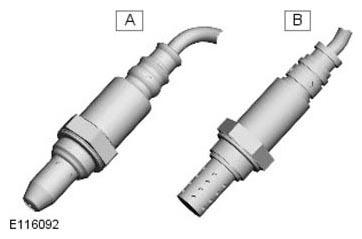 G11293346