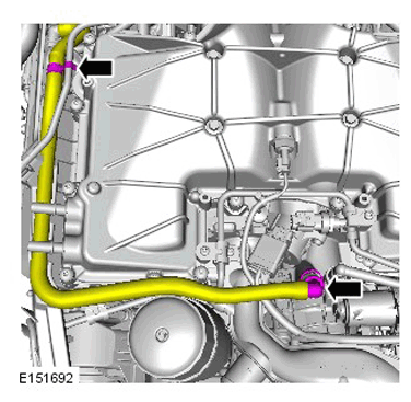 G11293558