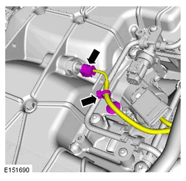 G11293559
