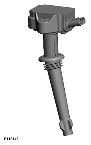 G11293808
