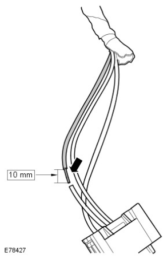G11294586