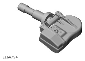 G11296741