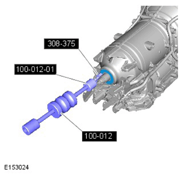 G11298224