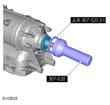 G11298389