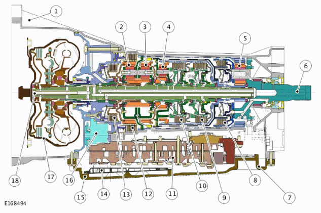 G11298654