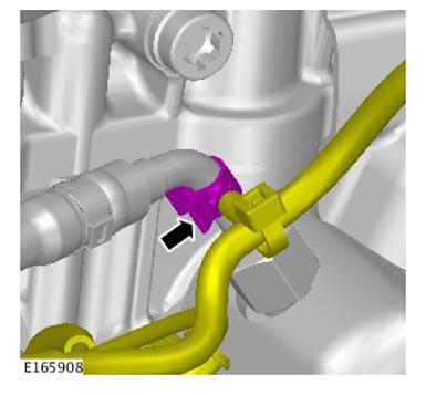 G11299815