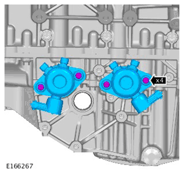 G11299824