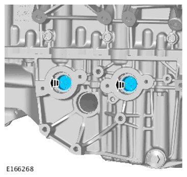 G11299825