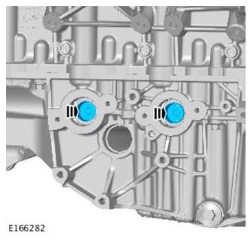 G11299855