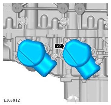 G11299956