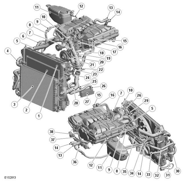 G11301453