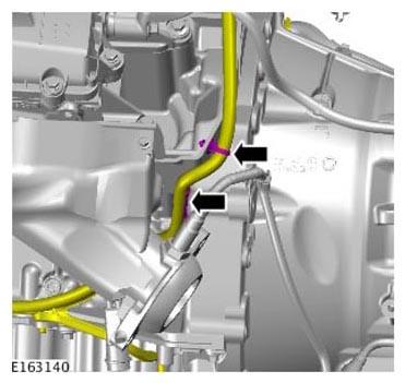 G11302901