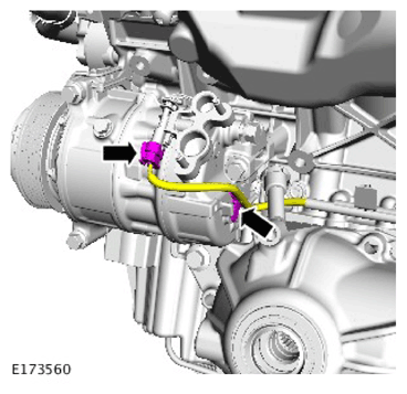 G11304190