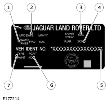 G11305391