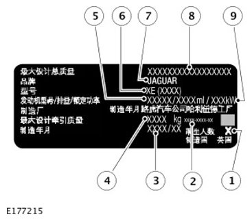 G11305392