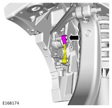G11305444
