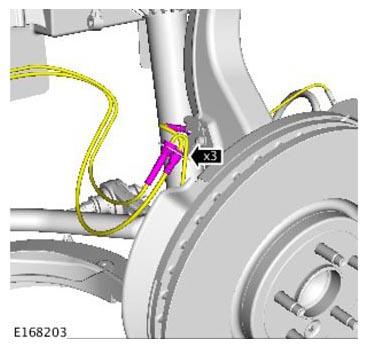 G11305446