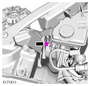 G11305495