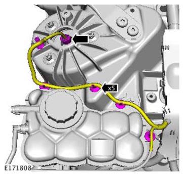 G11305496