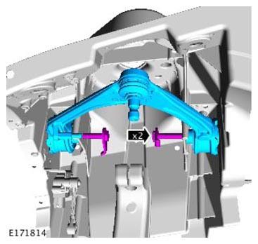 G11305499