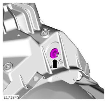 G11305504