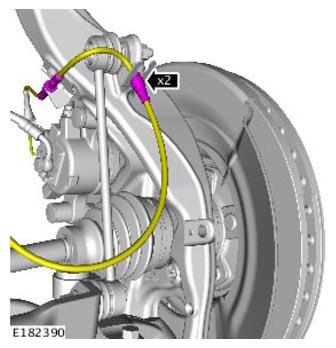G11305516