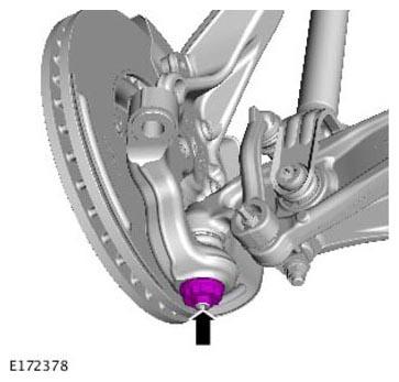 G11305538