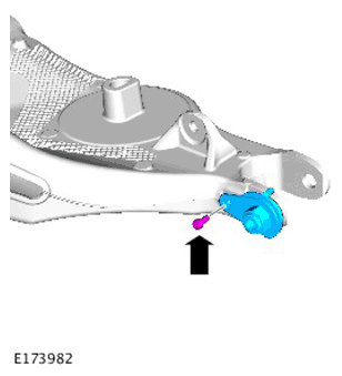 G11305578