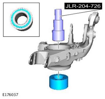 G11305605