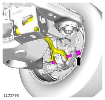 G11305610