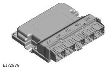 G11305674