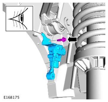 G11305689