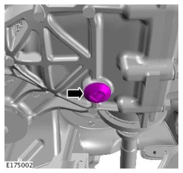G11305770