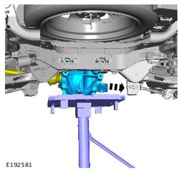 G11305782