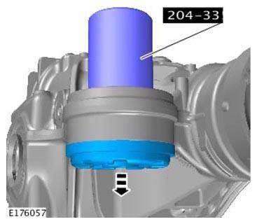 G11305796