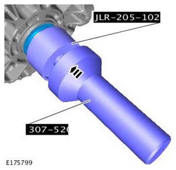 G11305829