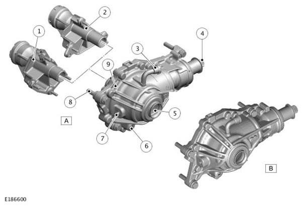 G11305831