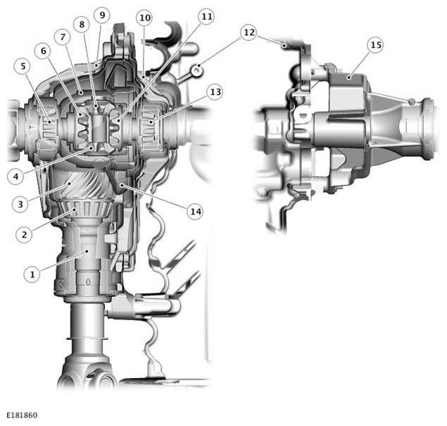 G11305832