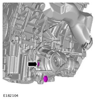 G11305833