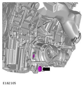G11305834