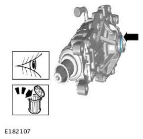 G11305838