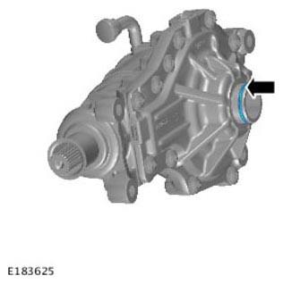 G11305853