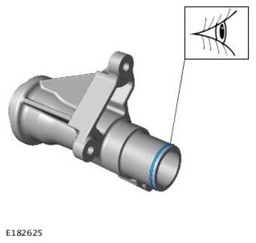 G11305856