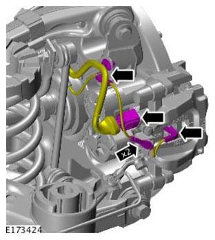 G11305895