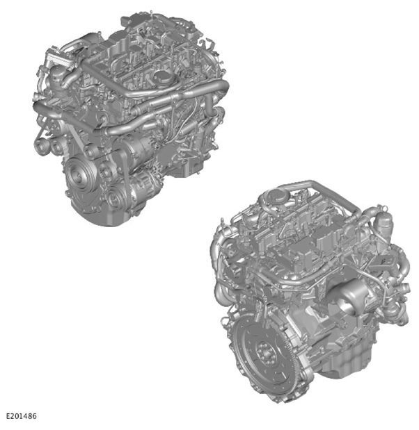 G11306738
